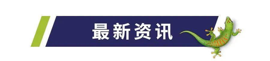 Bostik出席第二届AR/VR产业链高峰论坛