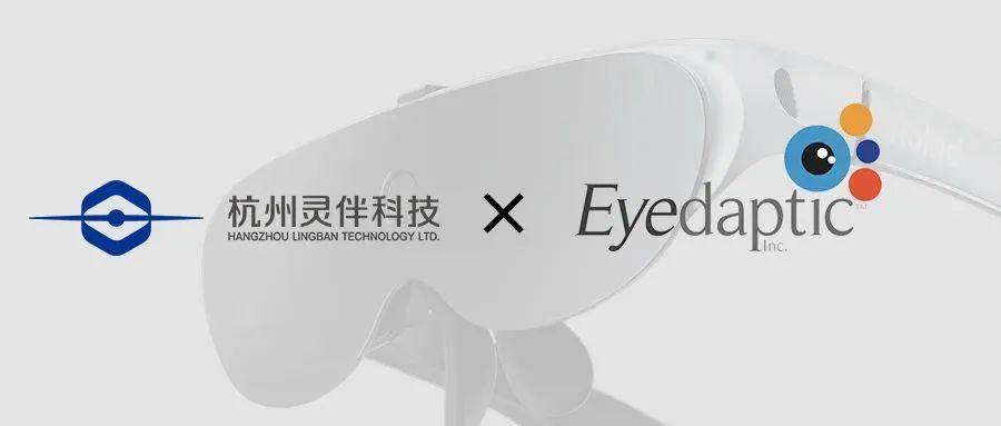 Eyedaptic：不断迭代为低视力人群带来创新之光